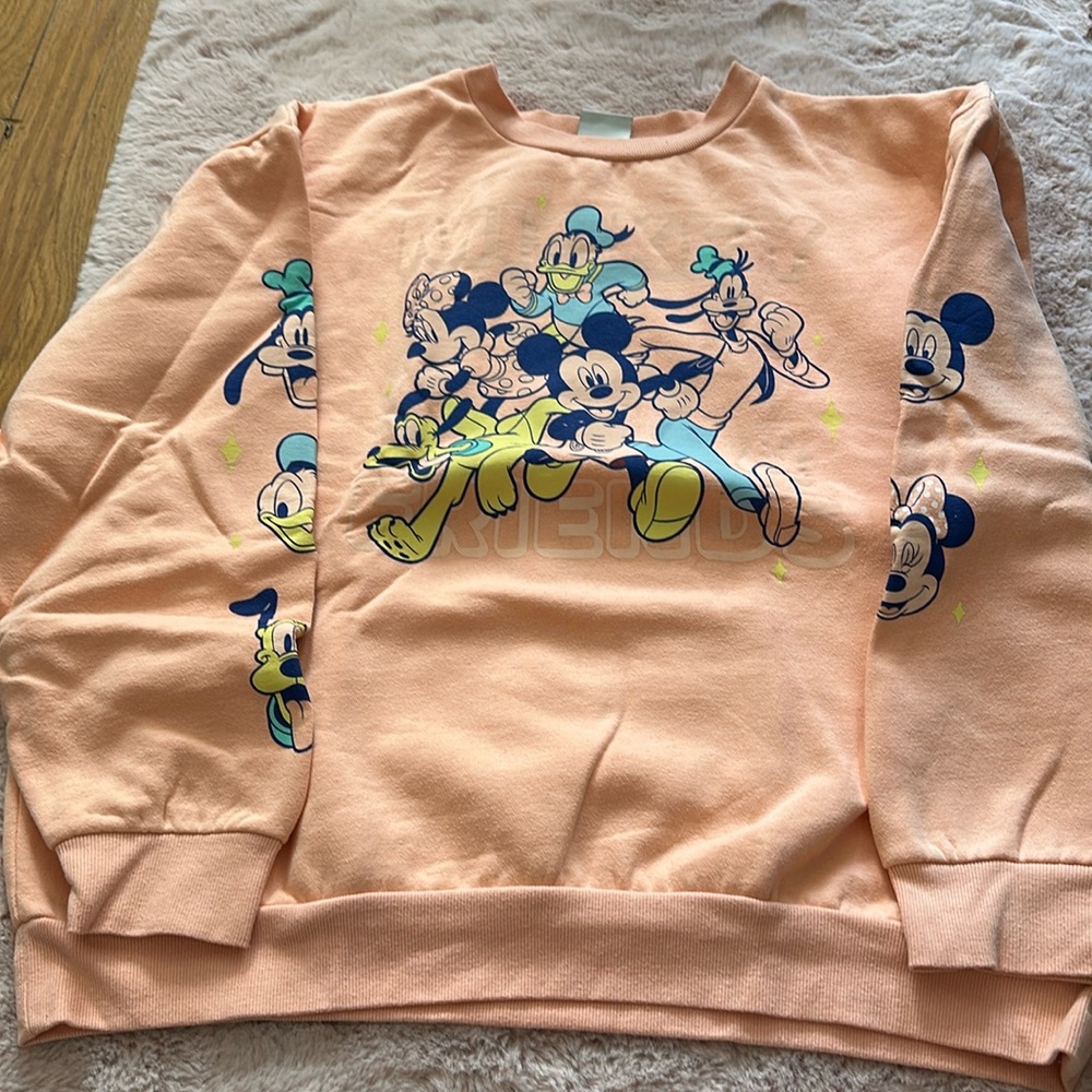 Mickey and Friends crew neck sweatshirt.